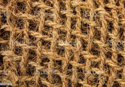 Jute Fiber Composites: Graphene Modifications