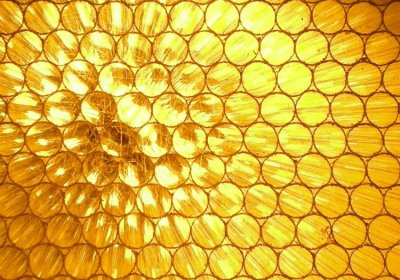 Learn from nature, the plastic honeycomb beehive structure—Achieving Polypropylene honeycomb core